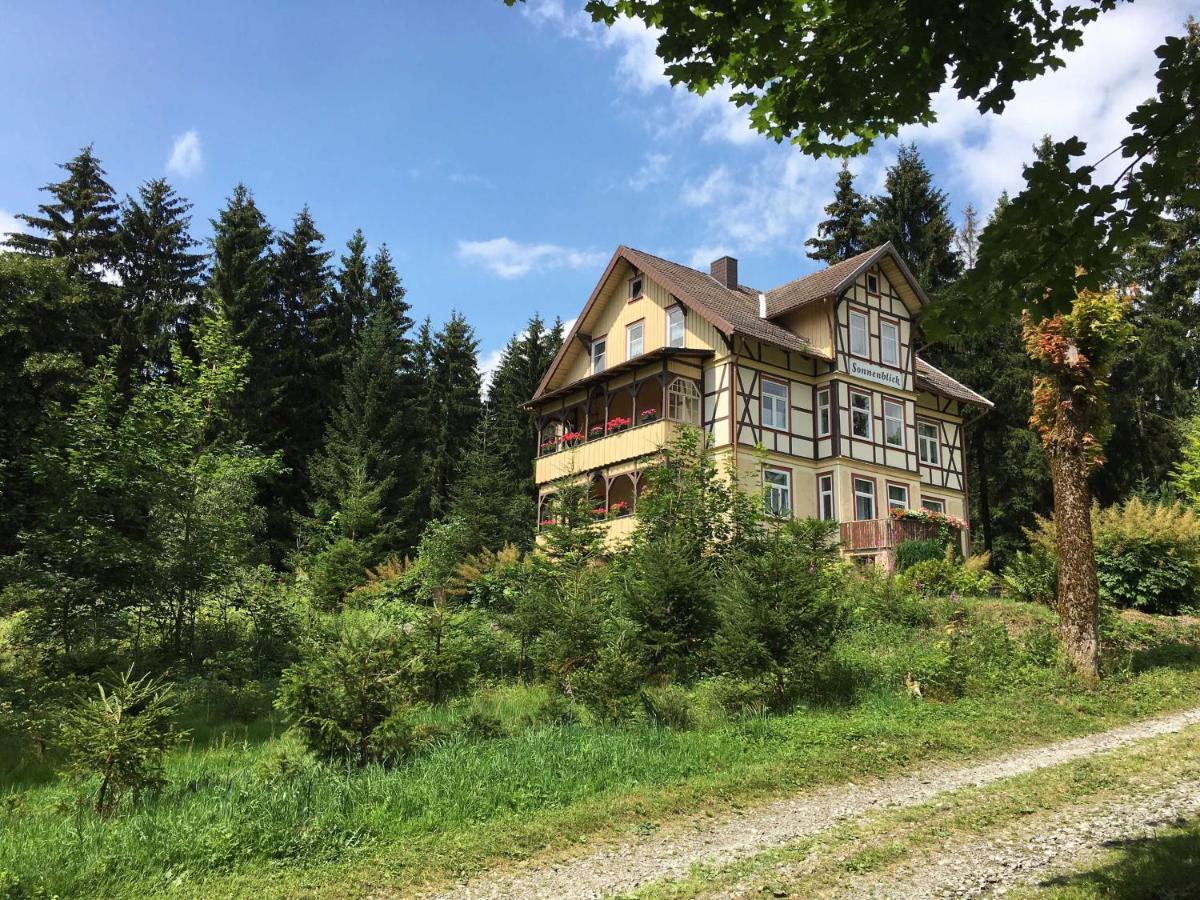 Апартаменты Haus Sonnenblick Беннекенштайн Экстерьер фото